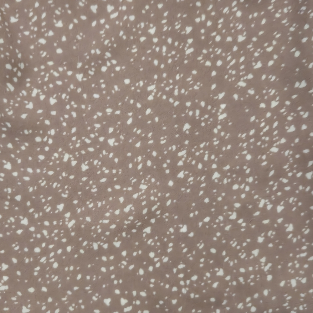 Loft Button-Up Long Sleeve Shirt - Picture 5 of 8